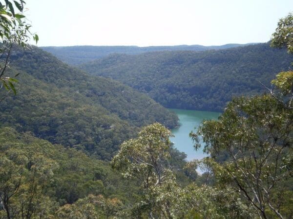 The perimeter trail to wilkins viewpoint 600x450