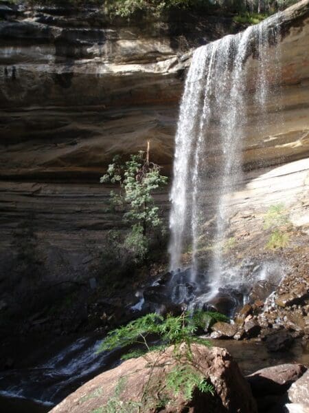 Victoria falls 450x600