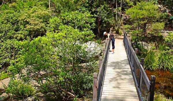 Yuelarbah walking track trail hiking australia 600x352