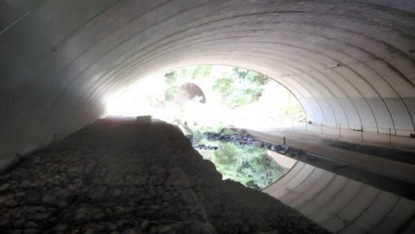 Epping station lane cove river loop hike (8. 4km)