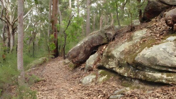 Graves walk (1. 5km)