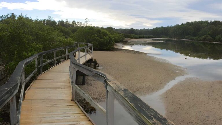 Mangrove Walk (1km) Mangrove walk (1km)