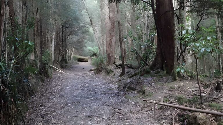 Mystery creek cave trail walk (2km)