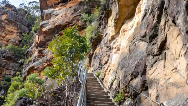 Wentworth pass loop walking track (5km)
