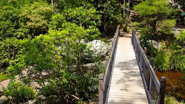 Yuelarbah walking track (6. 8km)