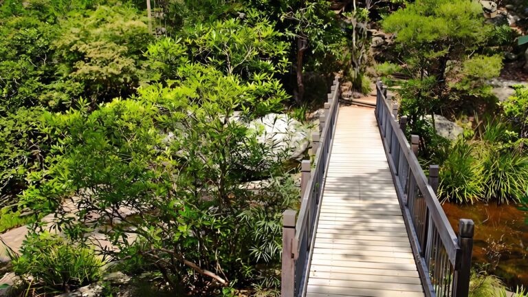 Yuelarbah Walking Track (6.8km) Yuelarbah walking track (6. 8km)