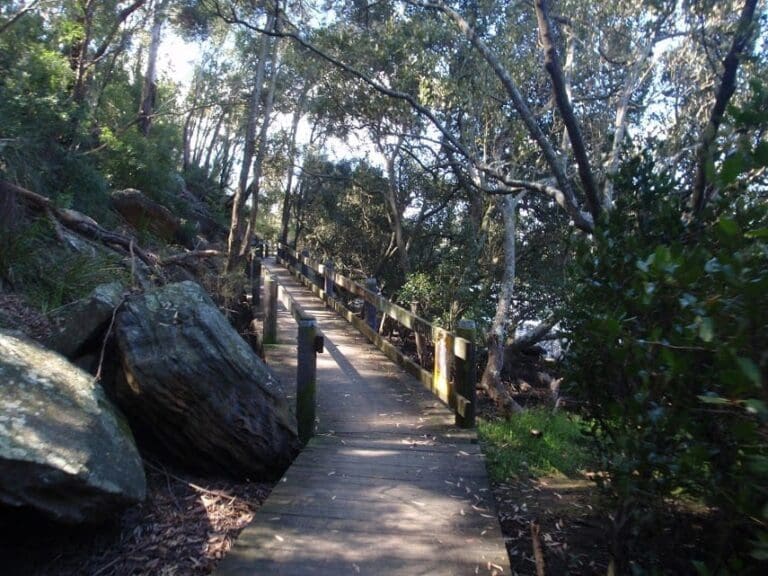 Alma road to padstow along salt pan creek 768x576
