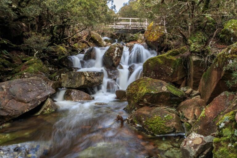Burnies Creek Cascades Hike (7.5km) Burnies creek cascades 768x512