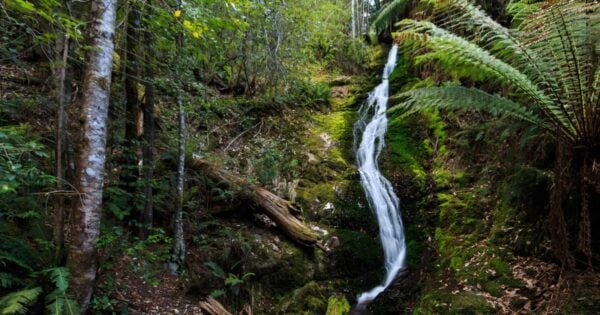 Evercreech falls 600x315