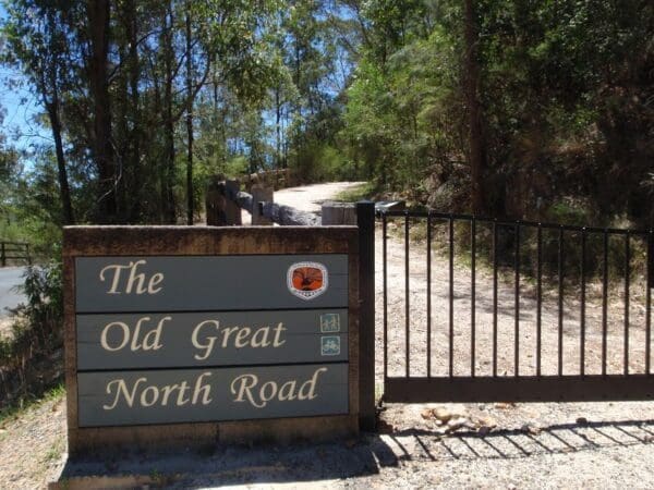Old Great North Road - World Heritage Walk (9km) Great north road and dubbo gully 600x450