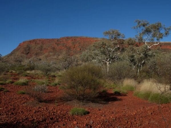 Hamersley Gorge Walk (1km) Mt nameless 600x450