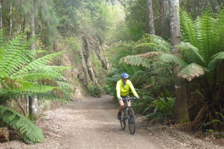 North East Tasmania Rail Trail Walk (26km) North east tasmania rail trail 768x511