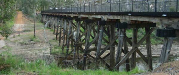 Wadandi Track (23km) Old timberline and sidings rail trails 600x254