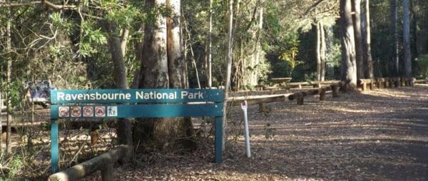 Ravensbourne rainforest circuit 600x254