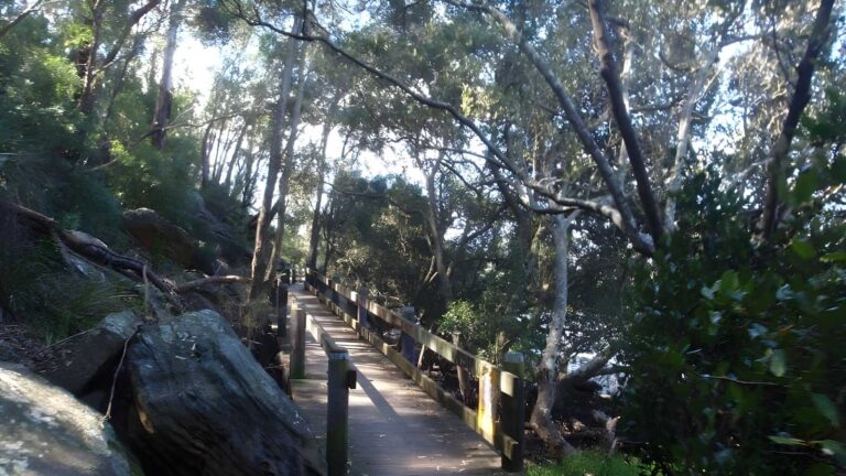 Alma road to padstow along salt pan creek walk (2. 8km)