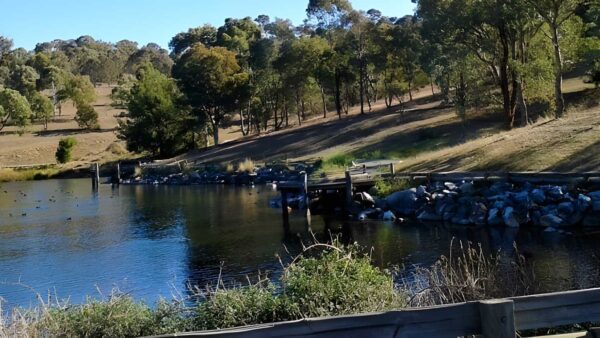 Bradleys creek walk (14. 2km)