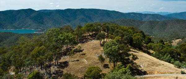 Hikes Estate spur 600x254