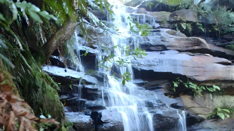 Somersby Falls Walk (400m) Somersby falls walk (400m)