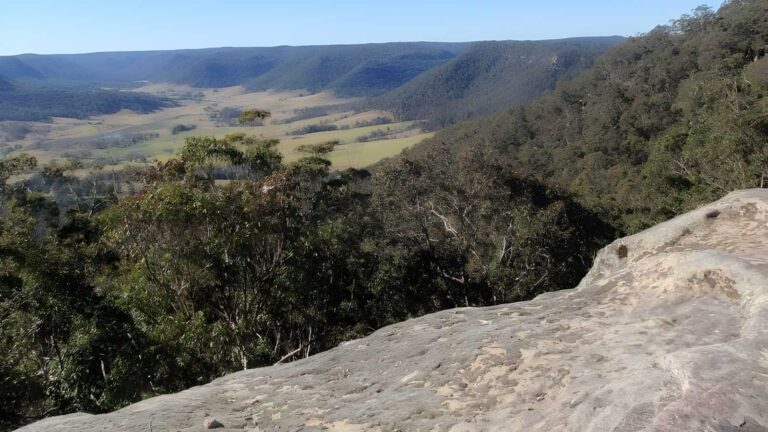 Watagan creek road to flat rock walk (4. 1km)