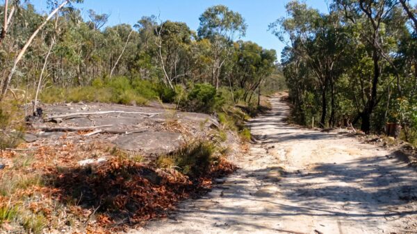 Woodford to faulconbridge hike (23. 4km)