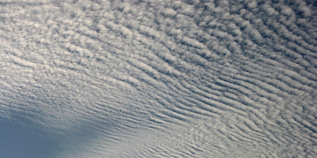 How to predict weather by the clouds Altocumulus clouds