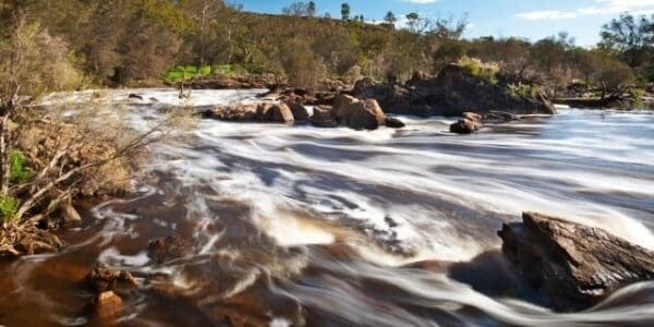 Bells rapids river walk 600x300