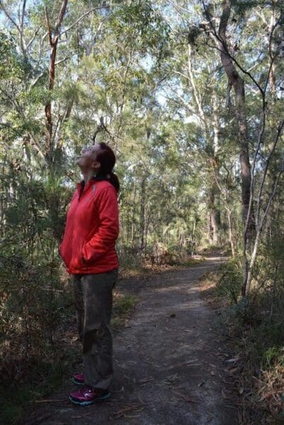 Mambara track 401x600