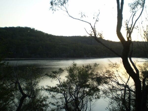 Manly dam circuit walk 600x450