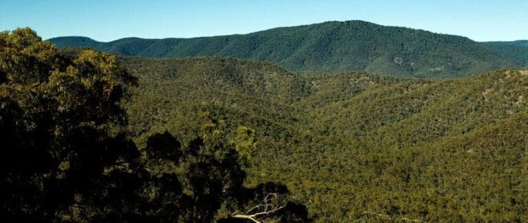 The Pinnacle Walking Track (11km) The pinnacle walking track trail hiking australia 768x325