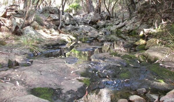 Scutts Hut & Kurrawonga Falls Walk (20km) Waa gorge walking track trail hiking australia 600x352
