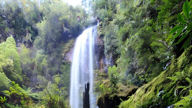 Creekton falls hike (10. 5km)