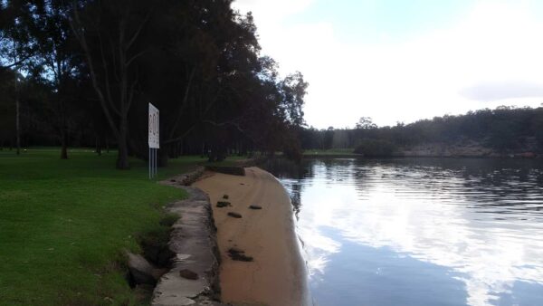 Fitzpatrick park to georges river national park walk (2. 5km)