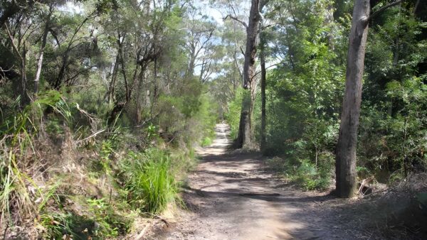 Heath & bare creek trails walk (3. 7km)