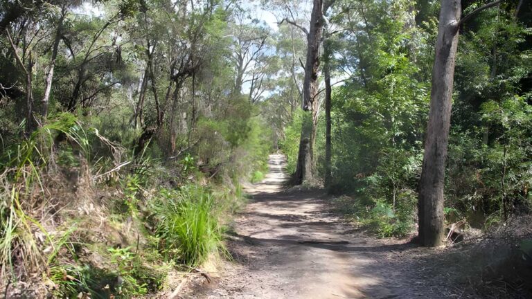 Heath & Bare Creek Trails Walk (3.7km) Heath & bare creek trails walk (3. 7km)