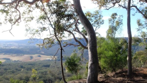 Hunter Lookout & Great North Walk Loop Walk (5.6km) Hunter lookout & great north walk loop walk (5. 6km)