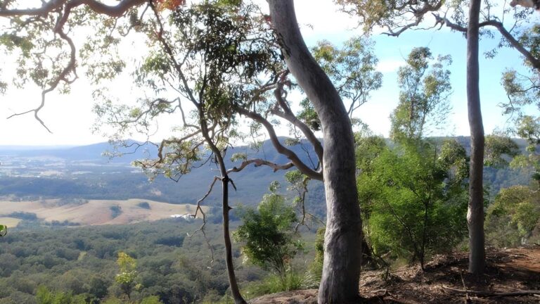 Hunter Lookout & Great North Walk Loop Walk (5.6km) Hunter lookout & great north walk loop walk (5. 6km)