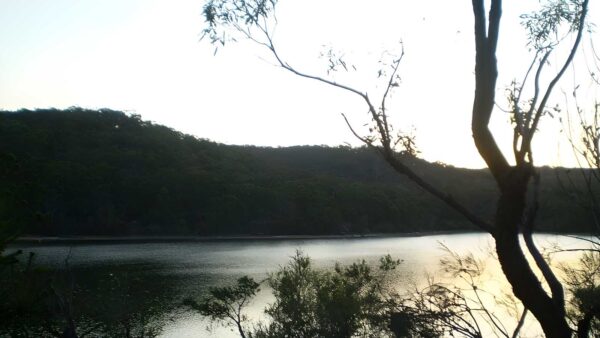 Manly dam circuit walk (7. 3km)