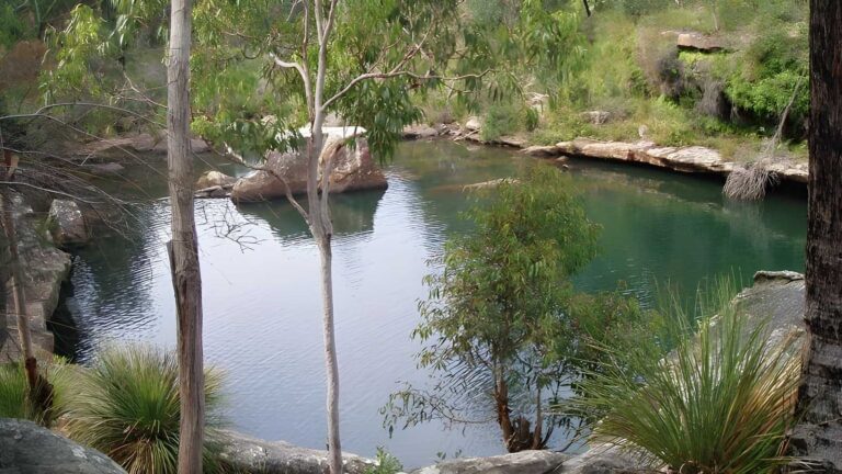 Minerva Pool Walking Track (2.4km) Minerva pool walking track (2. 4km)