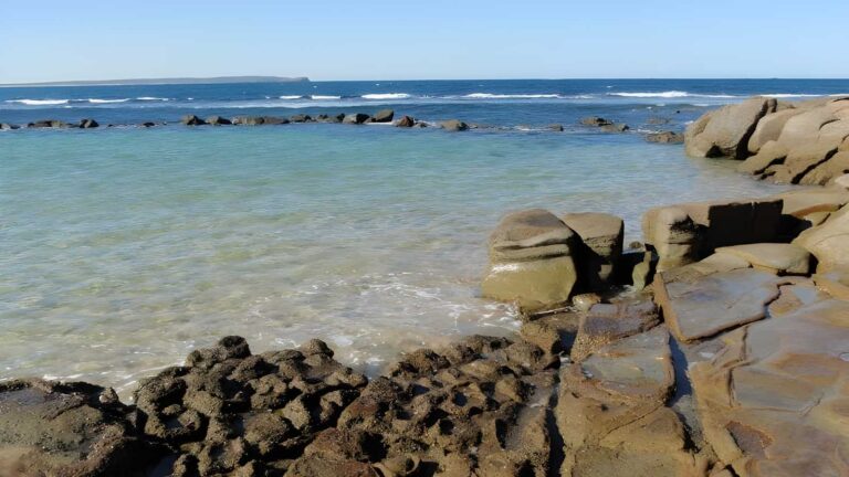 Norah Head Rockpool Walk (200m) Norah head rockpool walk (200m)