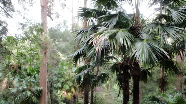 Strickland tour hike (8. 1km)