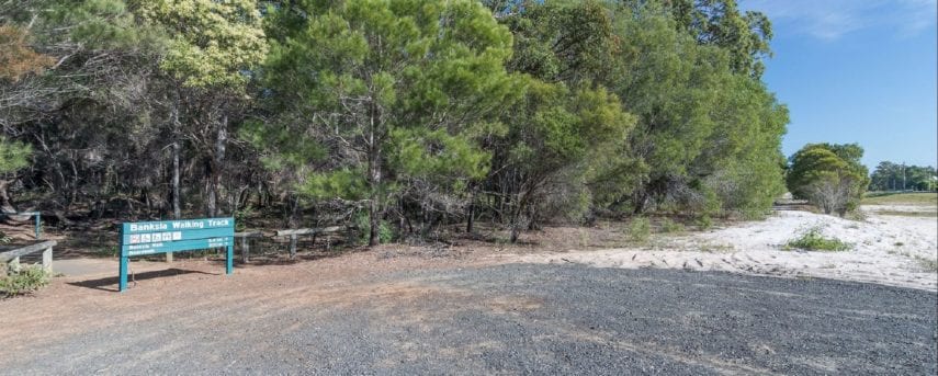 Banksia Track And The Boardwalk