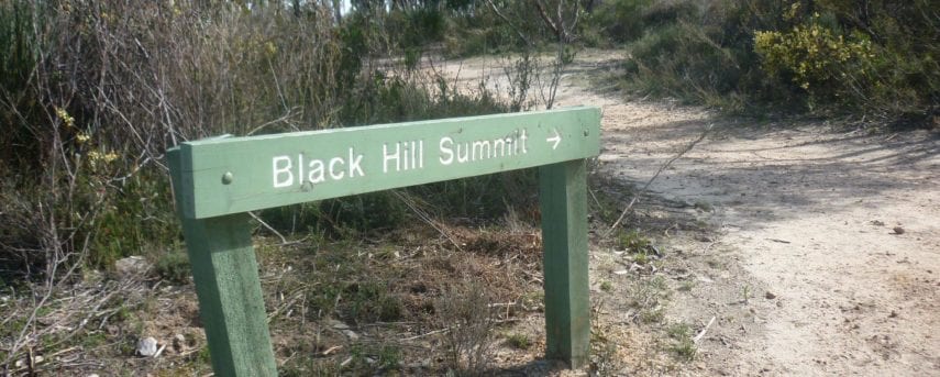Black Hill Summit  Circuit