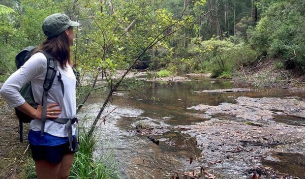 Boggy creek walk trail hiking australia 600x352