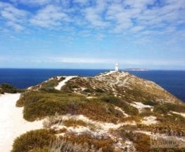 Cape Spencer Lighthouse Walk