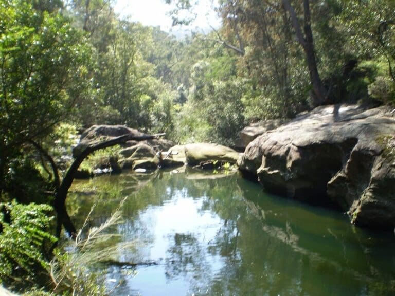 Cherrybrook to hornsby via fishponds 768x576