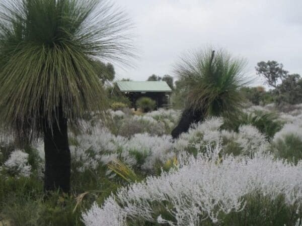 Coastal plain walk trail 600x450
