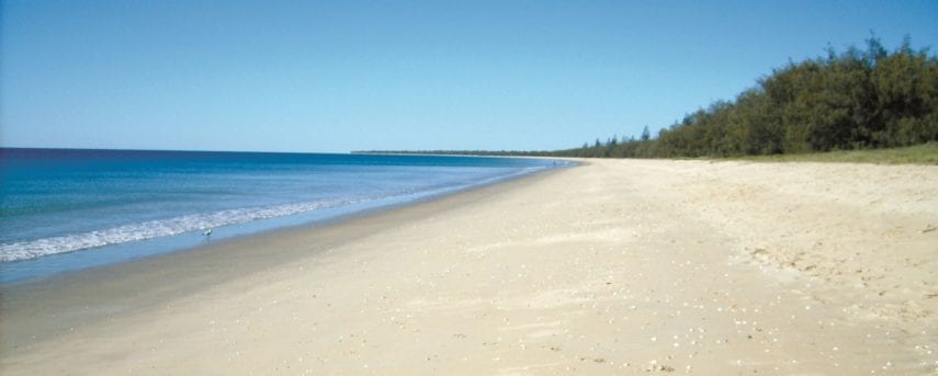 Coral Coast Pathways - Woodgate Beach Section