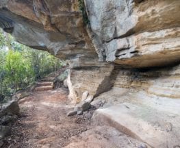 Dragon Cave and Bloodwood Cave
