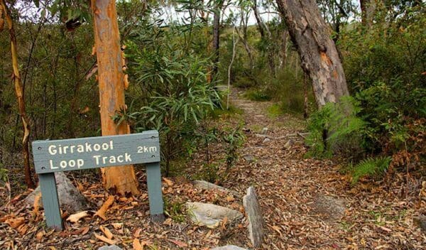 Girrakool loop track trail hiking australia 600x352