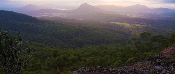 Box Forest Track (7km) Governors chair lookout 1 600x254